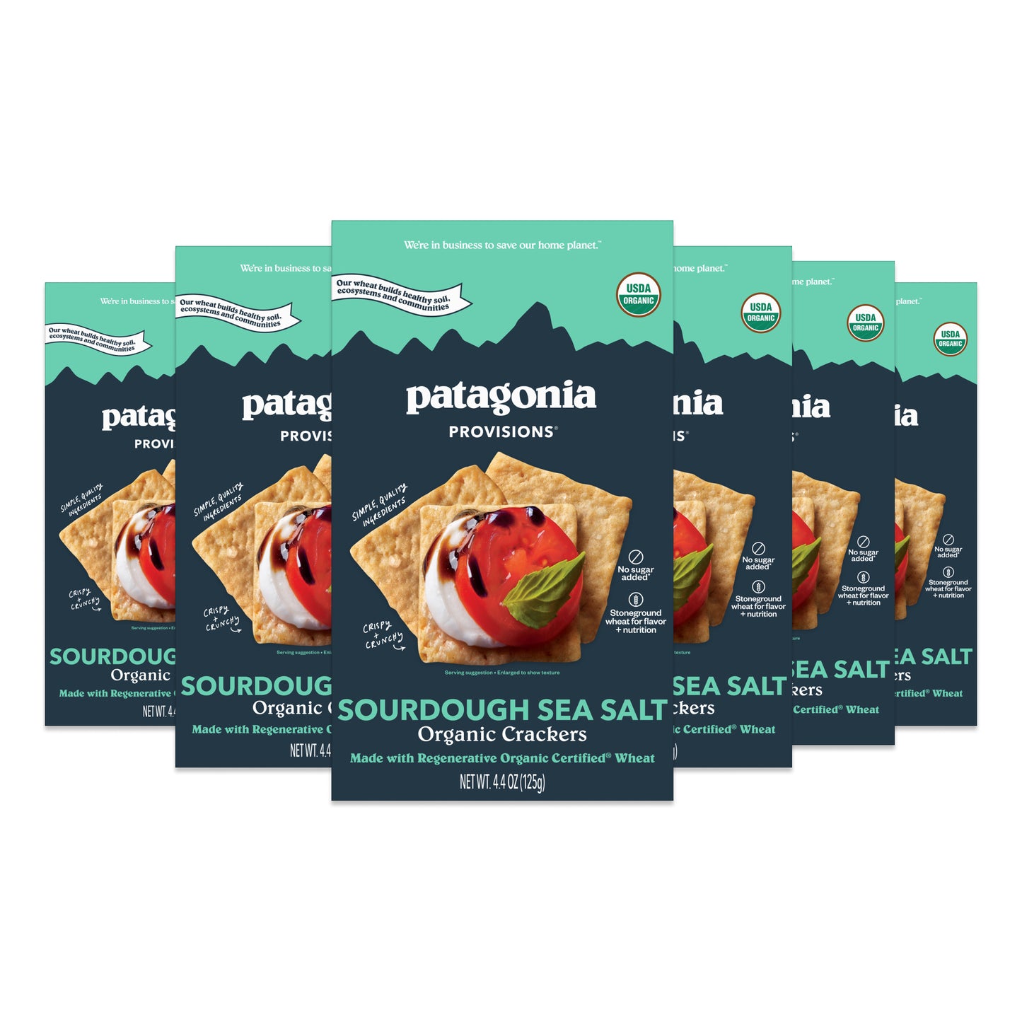 Organic Sourdough Sea Salt Crackers, 6 Pack Case